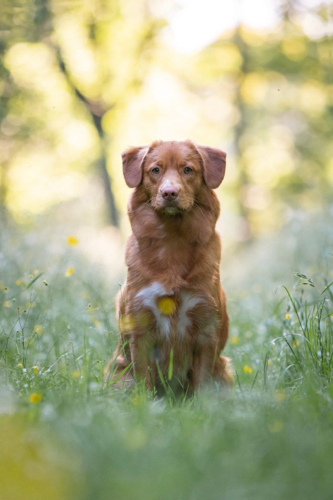 Liv | Nahanni from the Green Resort