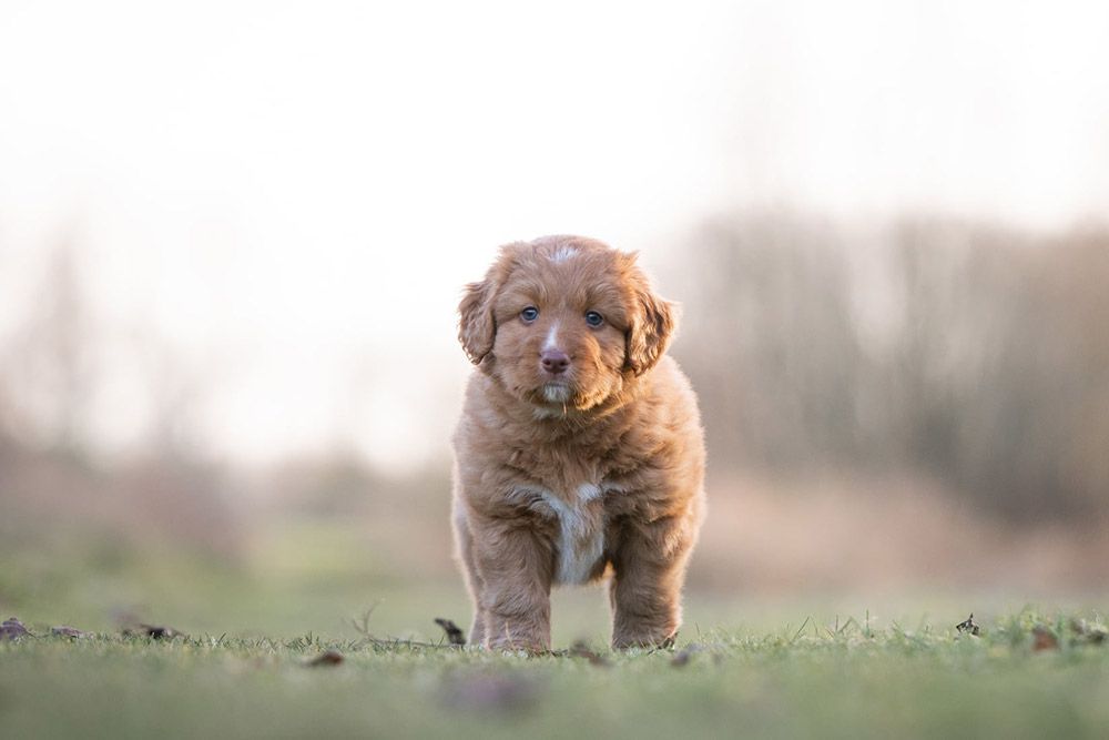 Narumi | Shining Pearl from the Green Resort