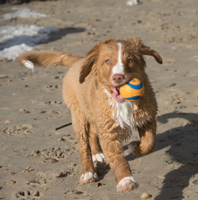 Sachiko | Turn Around from the Green Resort