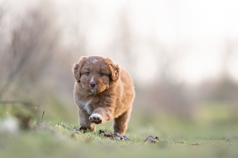 Narumi | Shining Pearl from the Green Resort