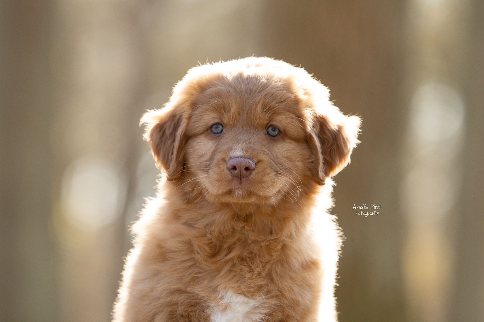 Yukina Frosty Beauty from the Green Resort 