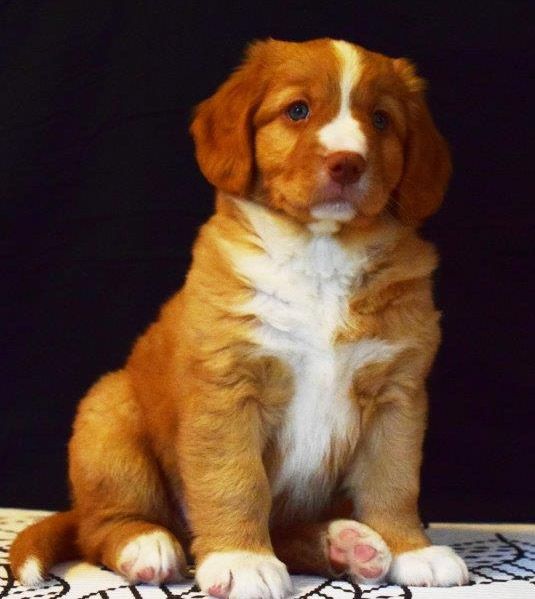 Sachiko | Turn Around from the Green Resort