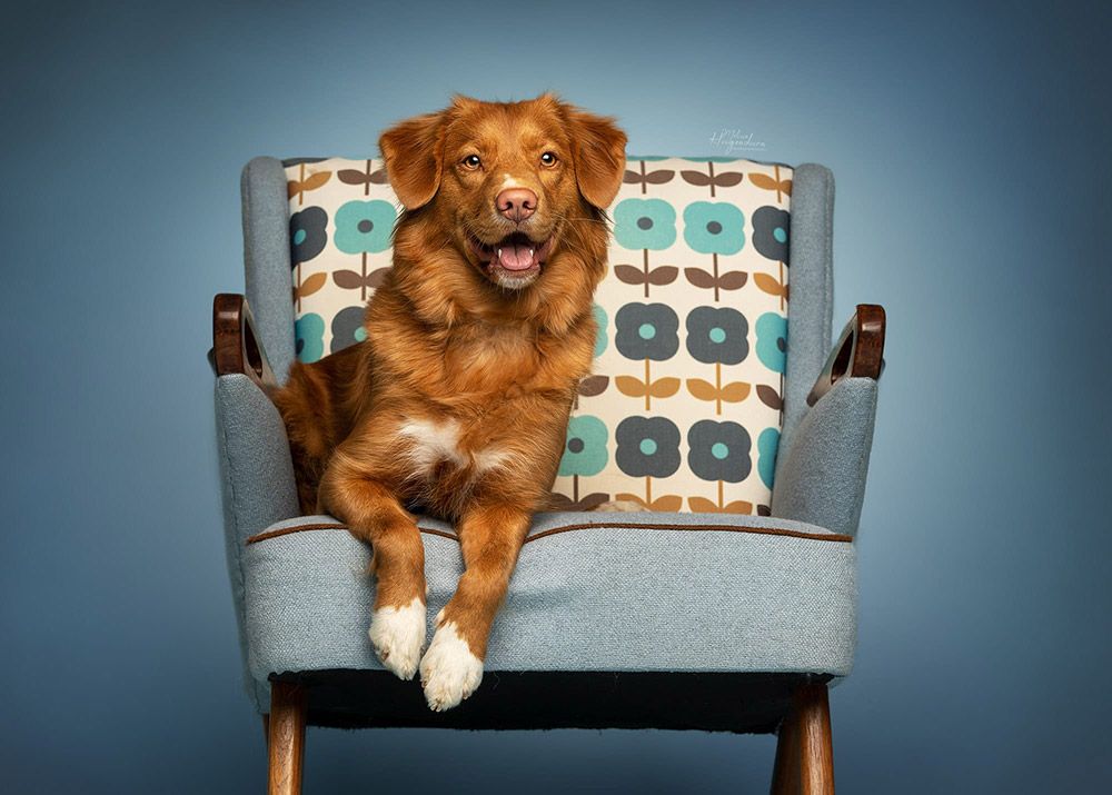 Liv | Nahanni from the Green Resort