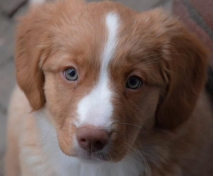 Sachiko | Turn Around from the Green Resort