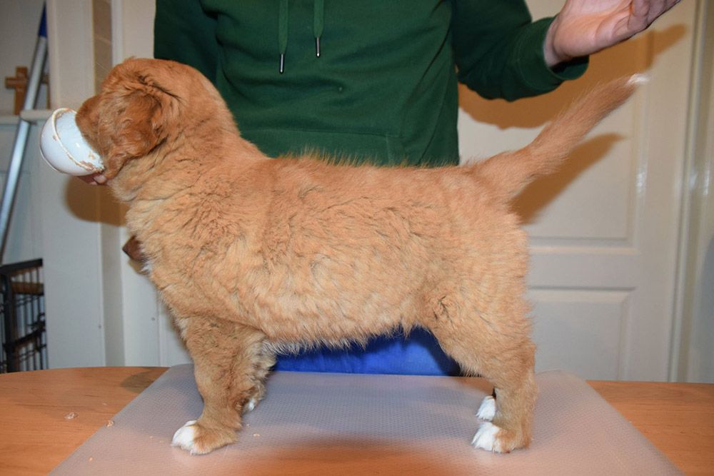 Narumi | Shining Pearl from the Green Resort