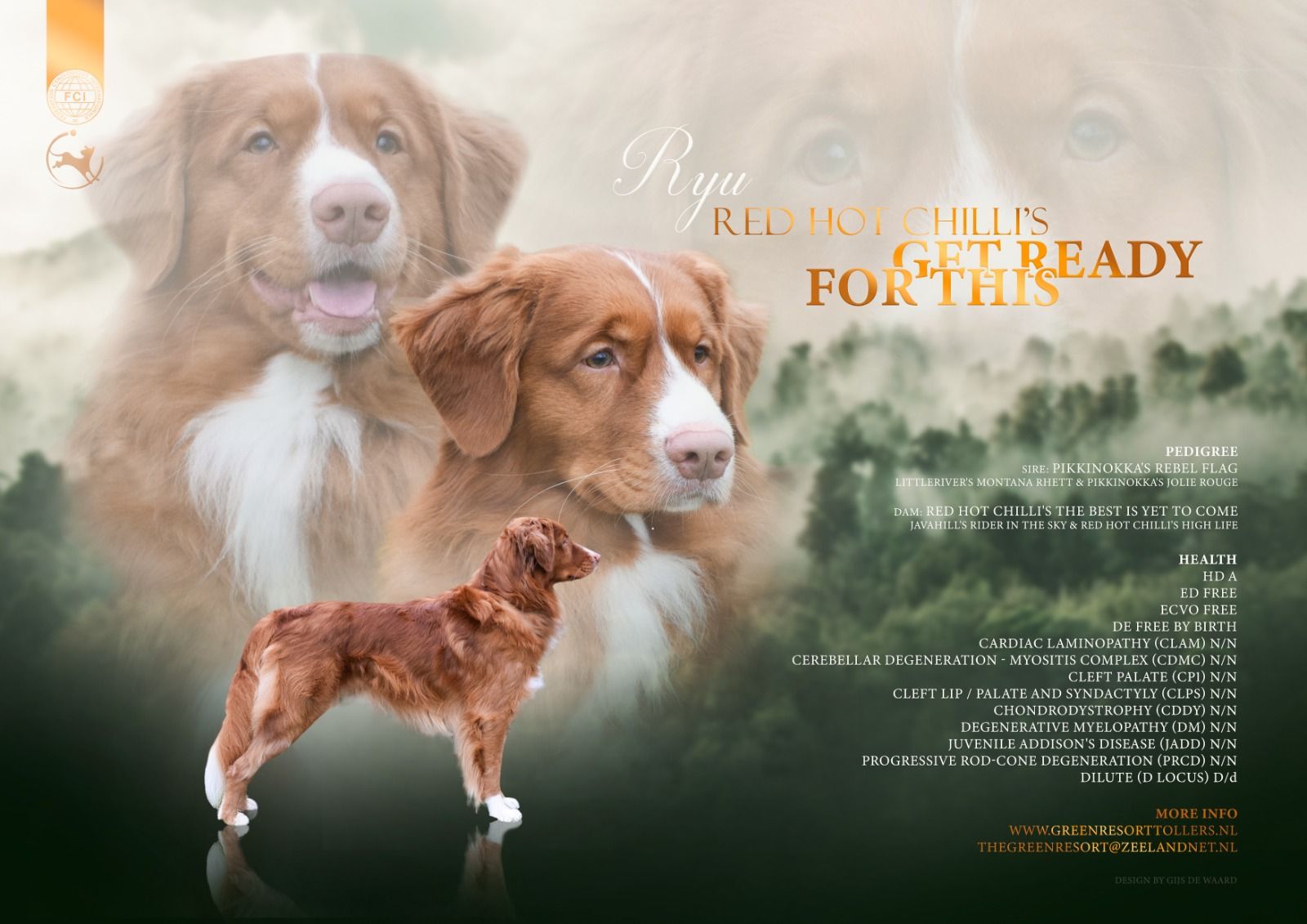 Ryu Red Hot Chilli's Get Ready for This