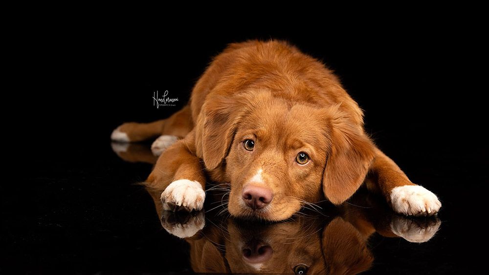 Liv | Nahanni from the Green Resort